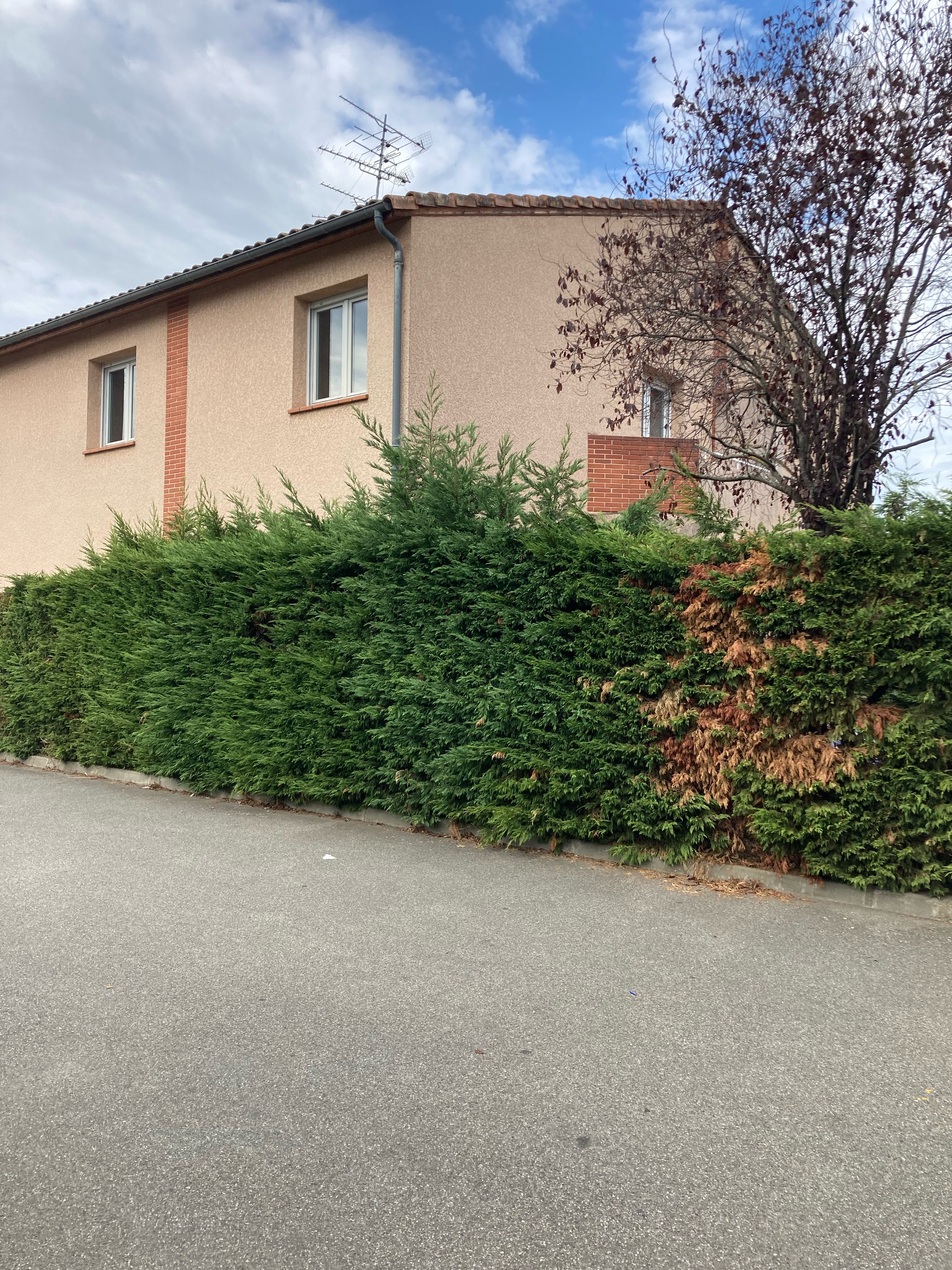 46 Bis Chemin Du Calquet 31100 Toulouse